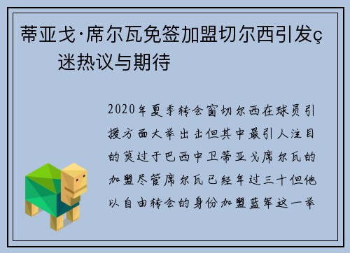 蒂亚戈·席尔瓦免签加盟切尔西引发球迷热议与期待